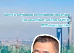 Cina: impegno essenziale per il funzionamento e la riforma dell'OMC