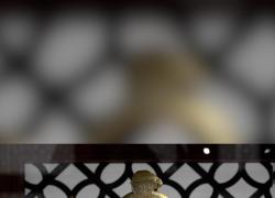 Cina: apre a Shanghai pi&ugrave; grande mostra del Louvre mai realizzata nel Paese