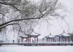 Cina: Changchun imbiancata dopo l'arrivo di un nuovo fronte freddo (1)