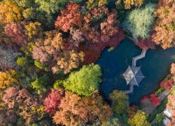 Cina: annuncia progressi in conservazione risorse di germoplasma forestale, delle praterie