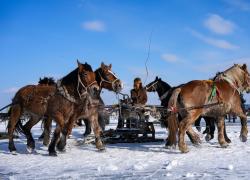 Cina: al via festival di pesca su ghiaccio e neve a Songyuan (1)