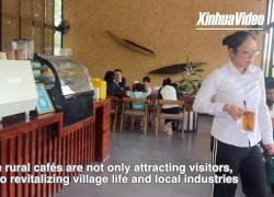 Cina: il caff&egrave; rilancia la vita rurale ad Hainan