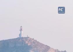 Cina: le foche maculate tornano a prendere il sole sull'isola di Changdao