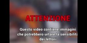 Cisgiordania, il VIDEO CHOC di dozzine di pecore bruciate vive in fattoria palestinese a As-Samu, Israele: "Incendio nato da guasto elettrico"