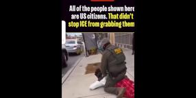 Usa, Ice immobilizza cittadini statunitensi trattati come immigrati: "Prima violenza poi domande, nessuno &egrave; al sicuro qui" - VIDEO