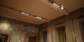 Un'agenda per i rari: priorit&agrave;, azioni, futuro