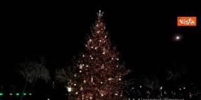 Trump e Melania accendono l'albero di Natale di Washington, il momento del conto alla rovescia