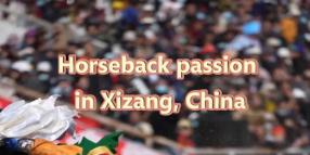 Cina: la spettacolare esibizione equestre in scena nello Xizang