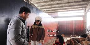 Cina: trattative in corso al Bazar di bovini e ovini di Kashgar