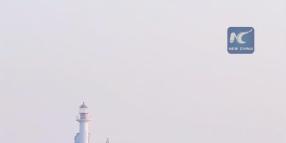 Cina: le foche maculate tornano a prendere il sole sull'isola di Changdao