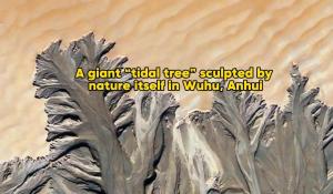 Cina: suggestivo fenomeno naturale osservato lungo il fiume Yangtze