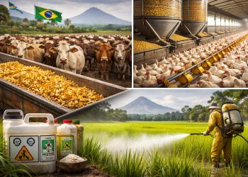 La sovranit&agrave; alimentare tradita: Mercosur, il voto italiano, la complicit&agrave; della Coldiretti silente e ambigua, le proteste postume per non perdere il consenso degli associati.