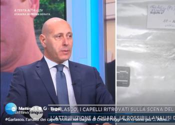 Garlasco, genetista Linarello: "I capelli fotografati sulla scena non ci sono pi&ugrave;, quelli nel lavandino non sono stati neanche repertati"