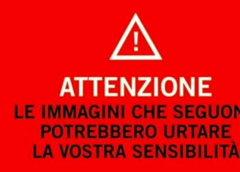Sudan, le IMMAGINI CHOC del massacro dell'asilo di Kalogi dopo il raid dell'RSF: corpi di donne, uomini e bambini squarciati e mutilati