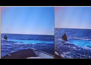 Naufragio migranti a largo della Libia, affondato barcone con 117 persone a bordo, Sea-Watch: &ldquo;116 morti, 1 solo superstite&rdquo; &ndash; VIDEO