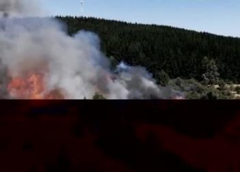 Sensori e dati, spegnere gli incendi con l'intelligenza artificiale