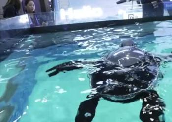 Ces 2026, le tecnologie che salvano l'ambiente in mostra a Las Vegas