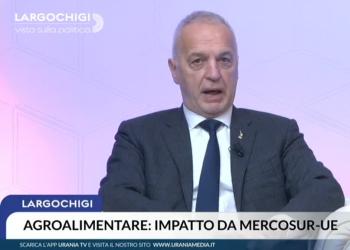 Mercosur, Bergesio: accordo deve tutelare agricoltori italiani