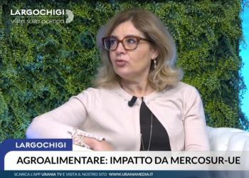 Mercosur, Naturale (M5S): Clausole di salvaguardia incerte