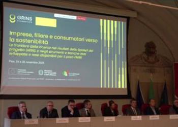 Imprese: Grins, strumenti e strategie per la transizione verde