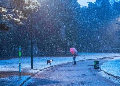 Meteo, novembre 2021 piovoso ma quasi nella norma: probabile dicembre freddo