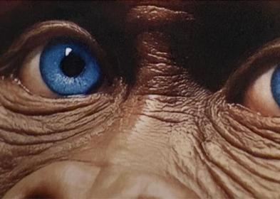 Lucy, "Tutta colpa di Lucy" il libro di Carla Tommasina