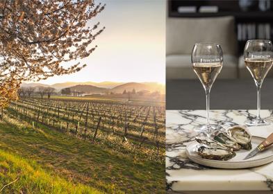 Festival di Primavera e vini Franciacorta fra il lago d&rsquo;Iseo, Brescia e i borghi del territorio