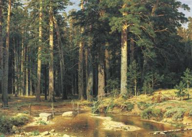 Korabelnaya Roschcha