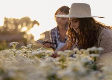 Sostenibilit&agrave;, torna 'The Good Farmer Award': candidature aperte fino al 15 maggio