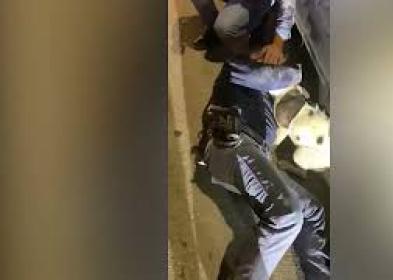 Cane incastrato sotto un'auto, il salvataggio della Polizia a Pescara