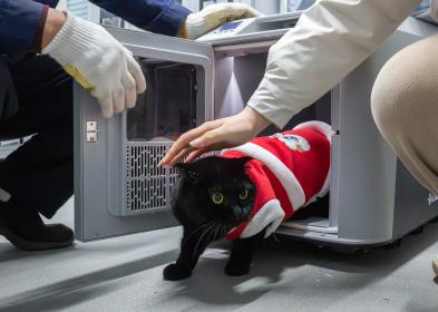 Cina: potenziato trasporto ferroviario di animali domestici in occasione della Festa di primavera