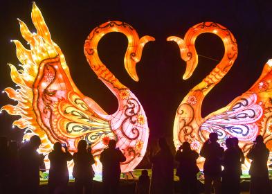 Cina: lanterne decorative in tutto il Paese per Festa di primavera (1)