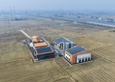 Cina: nel 2025 aumenta terreni agricoli di alto livello grazie a spinta verso modernizzazione