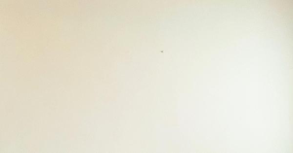 Art Basel Miami: torna Simone D #39 Auria l #39 artista più testosteronico con