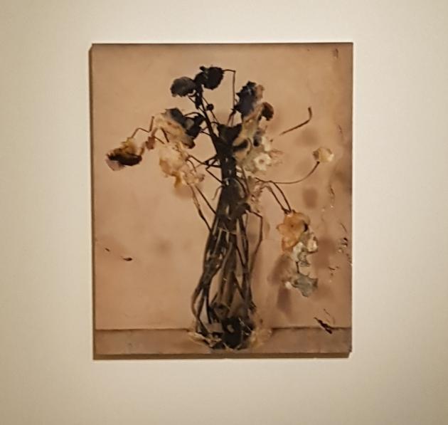 N. Samorì, Seconda Natura, 2020, Collezione Michela Ravaglia