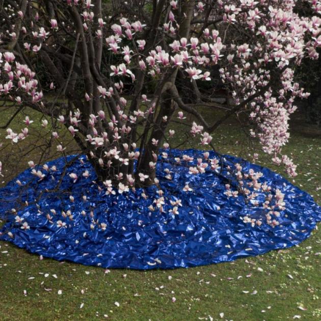 Entropia Cosmica di Tiziana Lorenzelli a cura di Vera Canevazzi e Margherita Strada