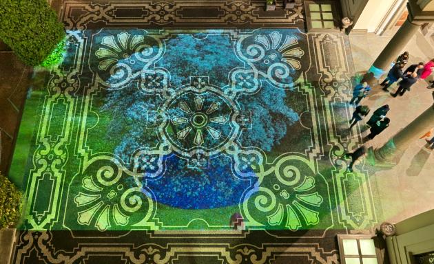 Entropia Cosmica di Tiziana Lorenzelli a cura di Vera Canevazzi e Margherita Strada