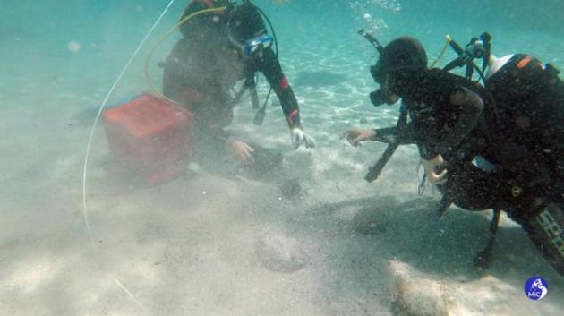 Arzachena, ritrovamento in mare di 50mila monete antiche del IV secolo d.C. Scoperte in Sardegna da un sub durante immersione a 10 metri - GALLERY