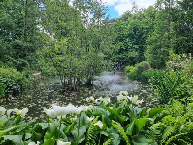 Clos Lucè: il giardino di Leonardo da Vinci con l'effetto sfumato