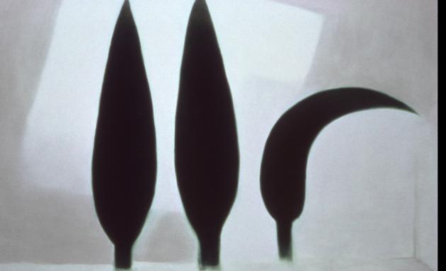 The Flattened Circle. Nell’era della Globalizzazione e dell’Equilibrio Instabile