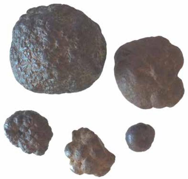 Sideriti, Sonora Desert, New Mexico.