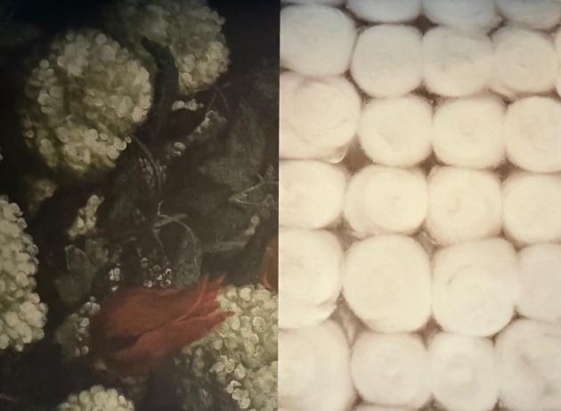 Bernardo Strozzi, Natura Morta, Piero Manzoni, Pallini di Ovatta 1962