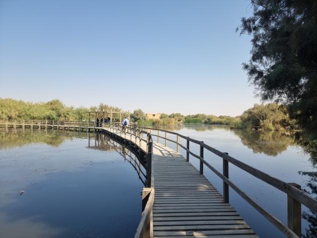 Giordania: la riserva di Azraq