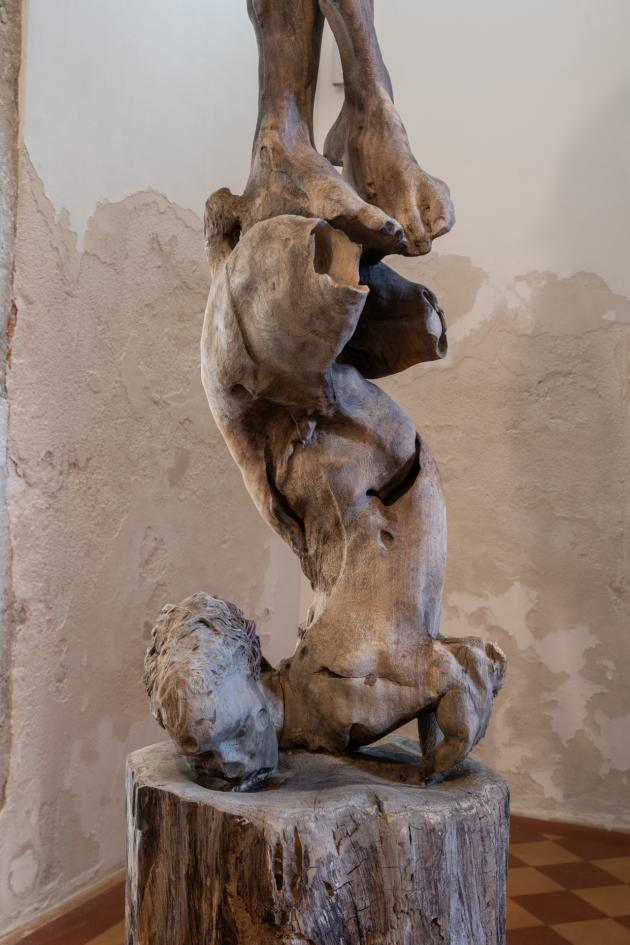 6. Particolare del tronco.