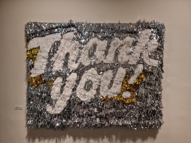 L'opera in mylar di Daniel Gonzales