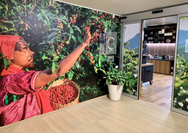 Coltivazione di caffè più green, Nestlé lancia il Nescafé Plan 2030