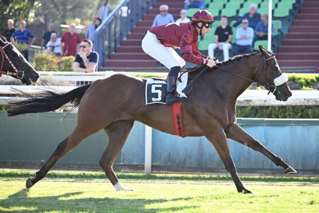 Allegri trionfa a Capannelle, al suo Lyricus il premio Fastigio