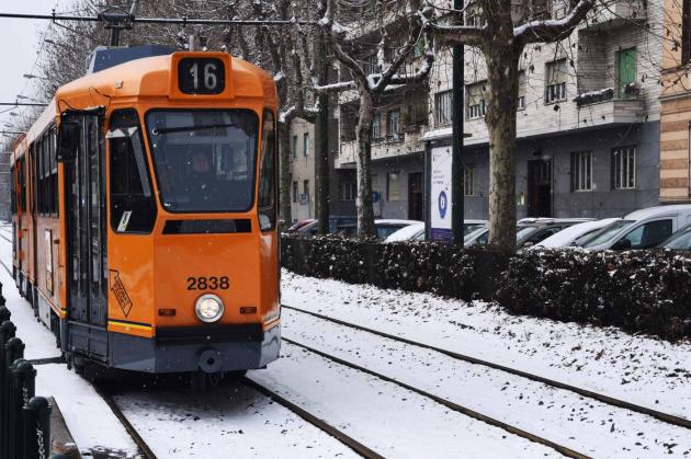 Neve