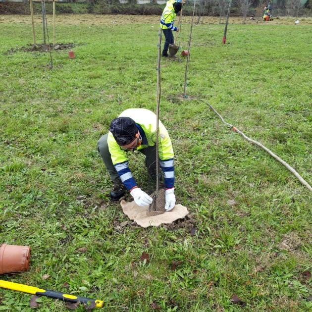 Arbolia e Comune di Udine, al via accordo per la creazione di boschi urbani in città
