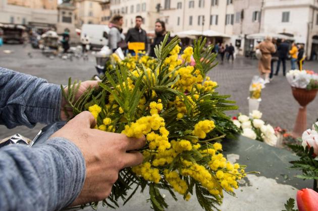 Festa della donna